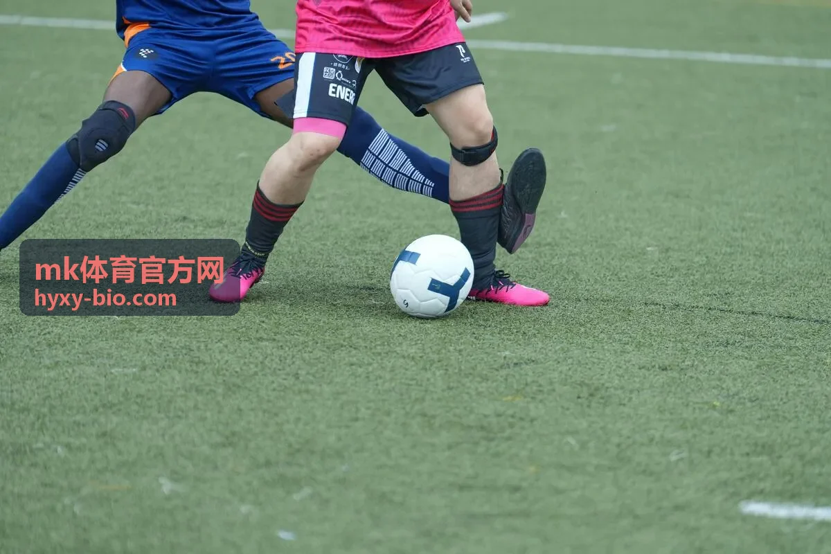 mk体育官方网 安全设置与设备管理界面截图